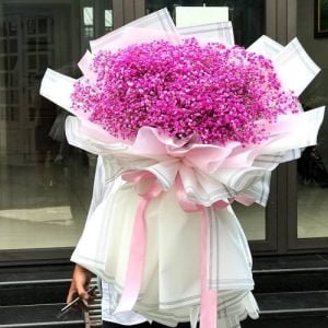 hoa baby màu hồng đẹp