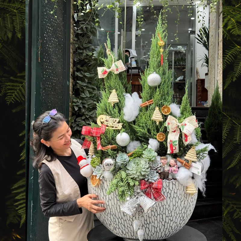 cay-thong-tuoi-cay-thong-giang-sinh-that (11) cây thông tươi đẹp từ cây tùng