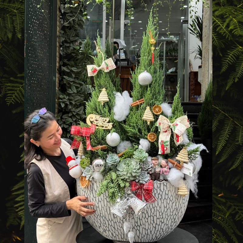 cay-thong-tuoi-cay-thong-giang-sinh-that (12) cây thông tươi đẹp từ cây tùng