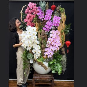 lũa gỗ lan hồ điệp cao cấp sang trọng siêu to khủng