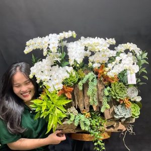 lan hồ điệp mini trắng ghép gỗ lũa đẹp độc đáo