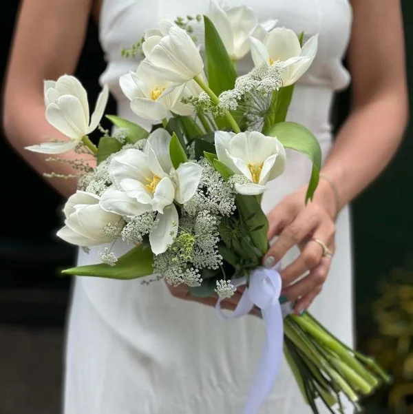 Hoa cưới tulip trắng ý nghĩa