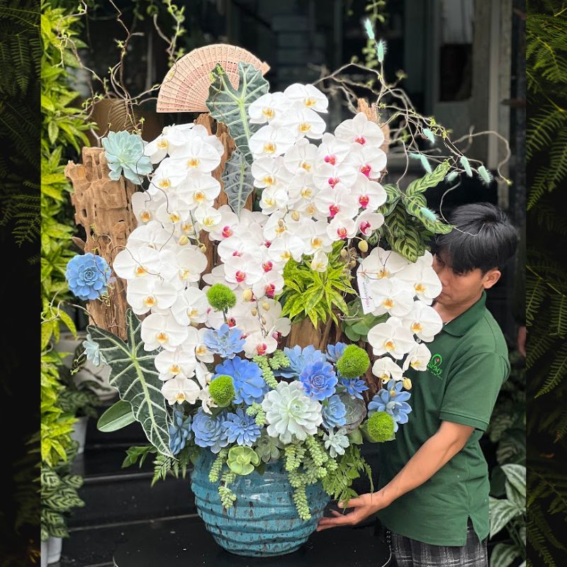 bình lan hồ điệp trắng mix sen đá xanh dương cao cấp bình lan hồ điệp trắng mix sen đá xanh dương cao cấp