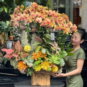 lũa gỗ lan hồ điệp cam để bàn