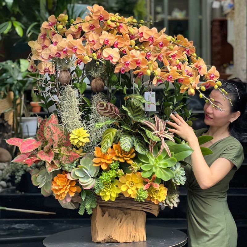 lua-lan-ho-deip-cam-de-ban (2) lũa gỗ lan hồ điệp cam để bàn