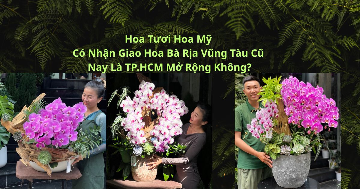 Hoa Tươi Vũng Tàu: Nâng Tầm Mọi Khoảnh Khắc Đặc Biệt
