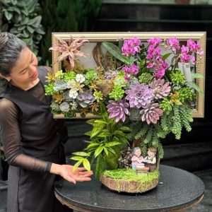 khung tranh 3d hoa lan mini kết sen đá