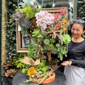 HOA LAN TẾT 2026 TỪ KHUNG TRANH HOA LAN MINI MIX SEN ĐÁ